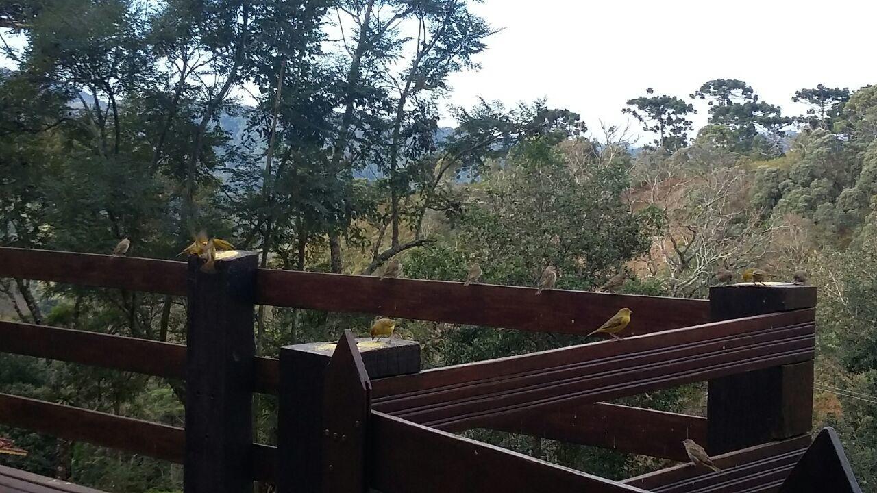Chales De Analuz Visconde de Mauá Eksteriør bilde